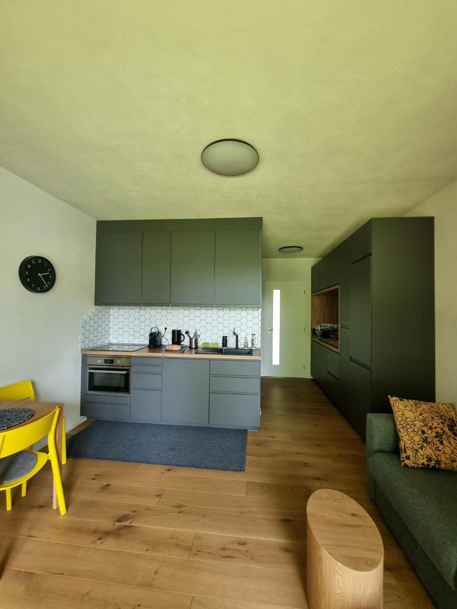 Apartman Berg Brcalnik Železná Ruda المظهر الخارجي الصورة