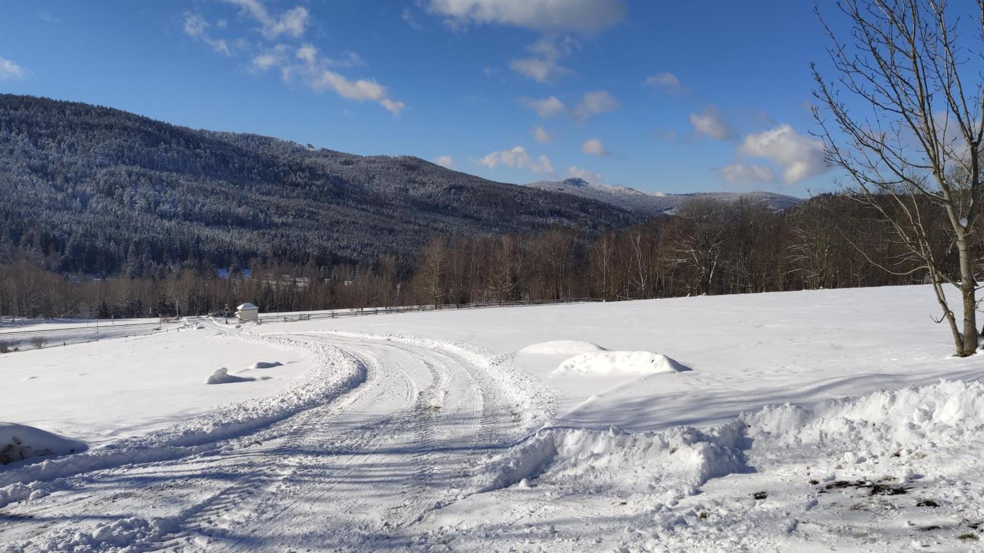 Apartman Berg Brcalnik Železná Ruda المظهر الخارجي الصورة